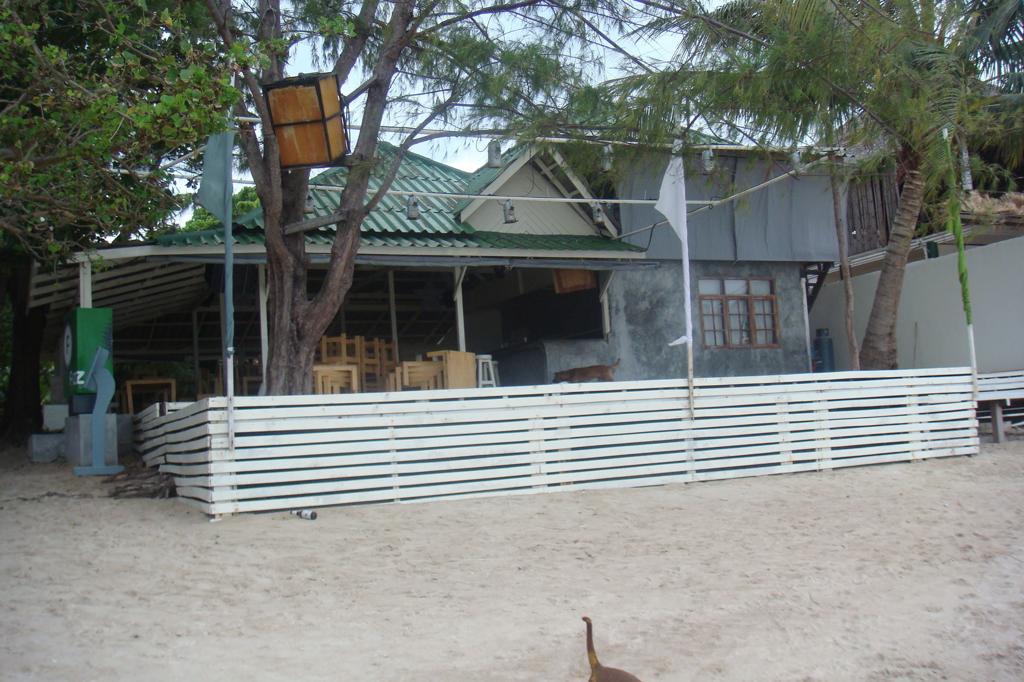 Silver Sands Beach Resort Ko Tao Eksteriør bilde